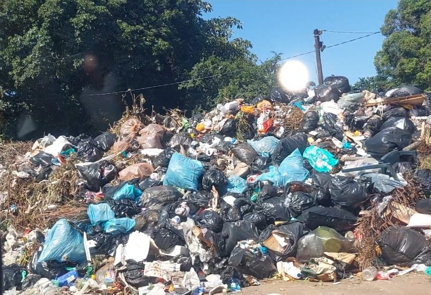 Durban South Africa EFF ANC strike rubbish