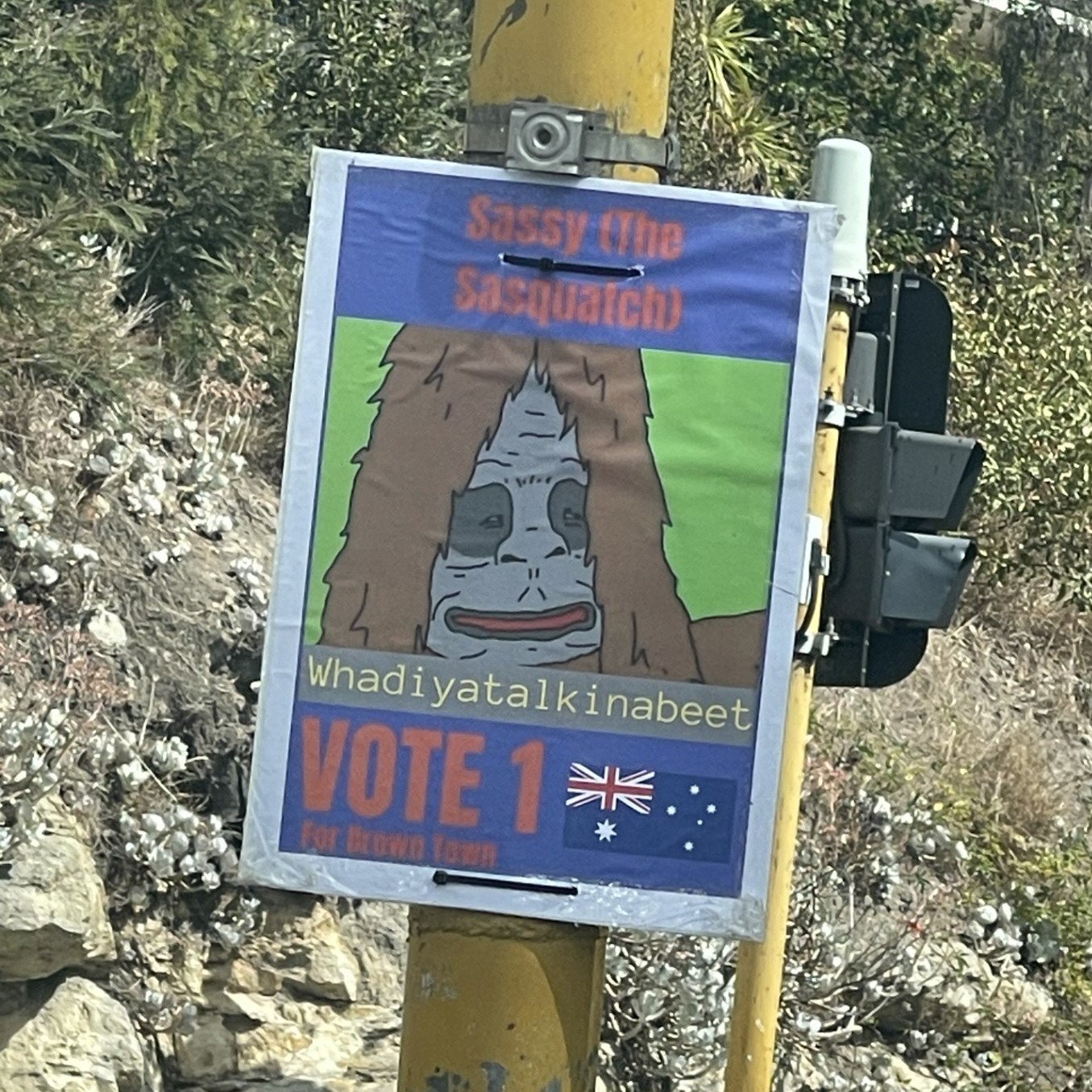 Fake election sign Tasmania