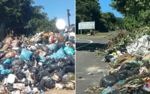 Durban strike rubbish decay